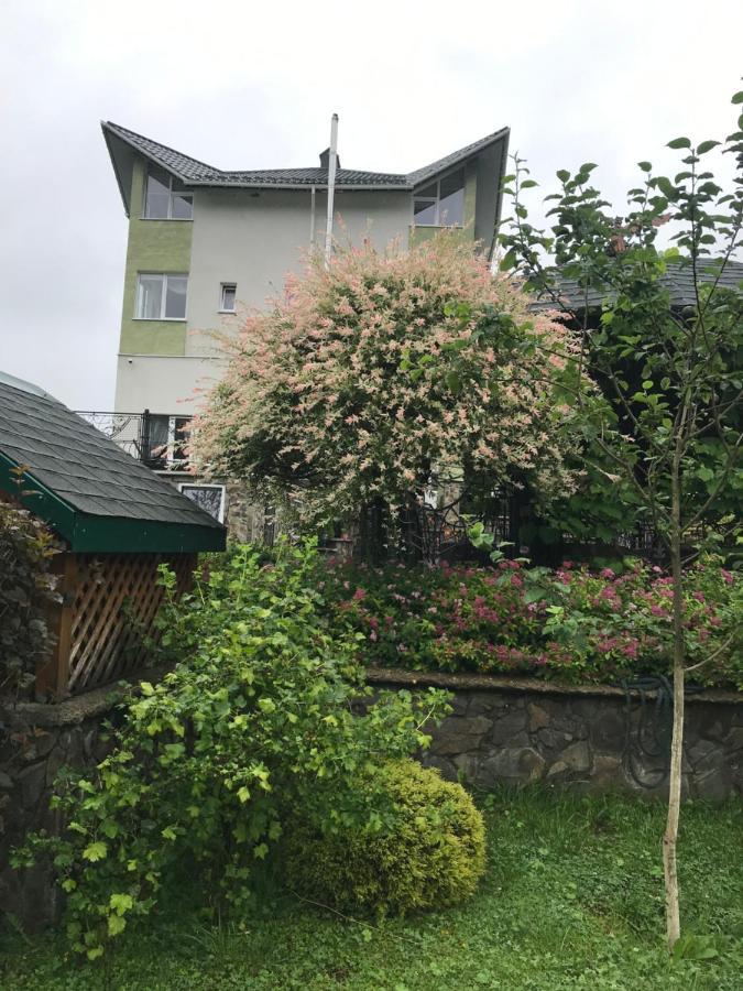 SkhidnytsiaЯрданаアパートメント エクステリア 写真